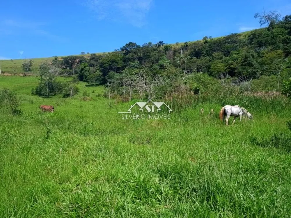 Fazenda, 21 hectares - Foto 29
