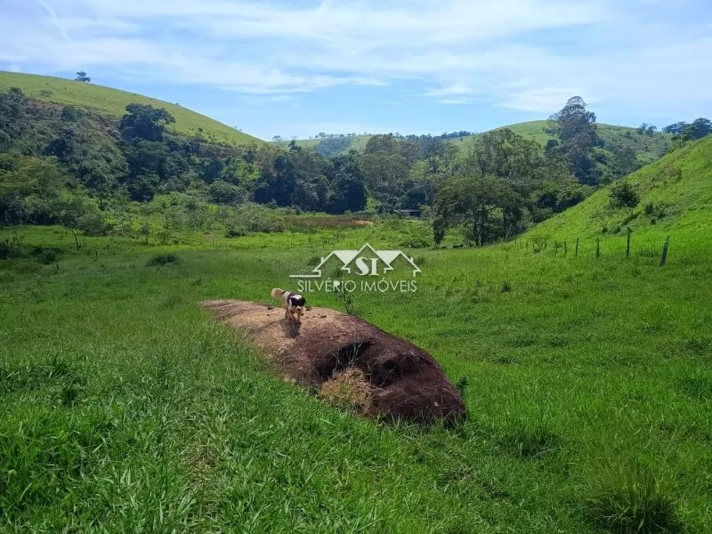 Fazenda, 21 hectares - Foto 22