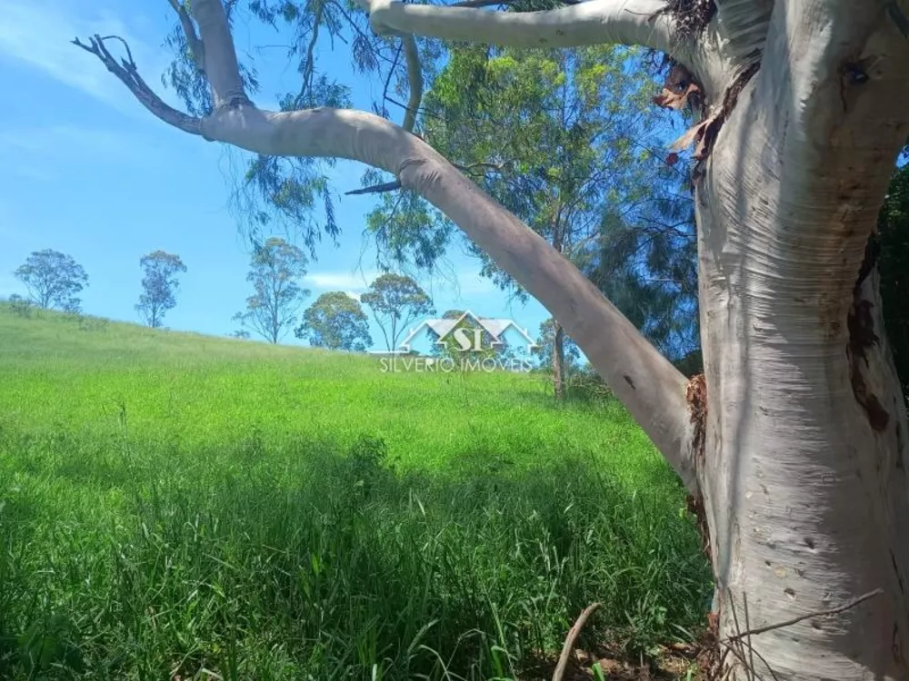 Fazenda, 21 hectares - Foto 20