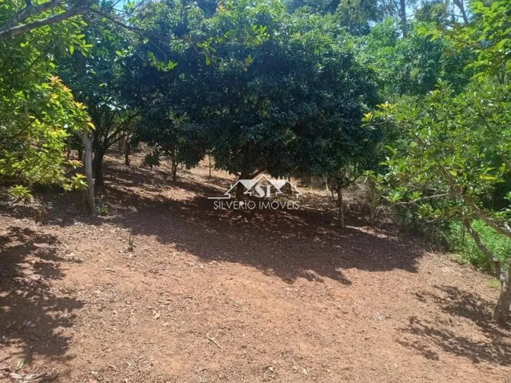 Fazenda, 21 hectares - Foto 44