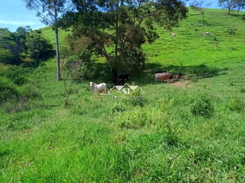 Fazenda, 21 hectares - Foto 1