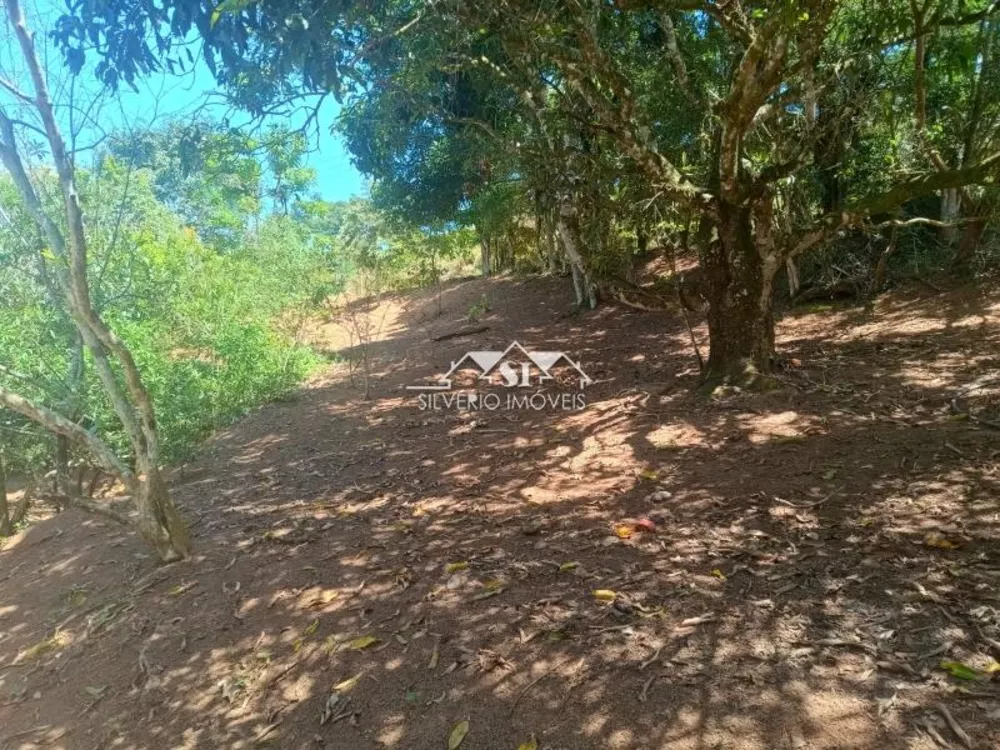 Fazenda, 21 hectares - Foto 30