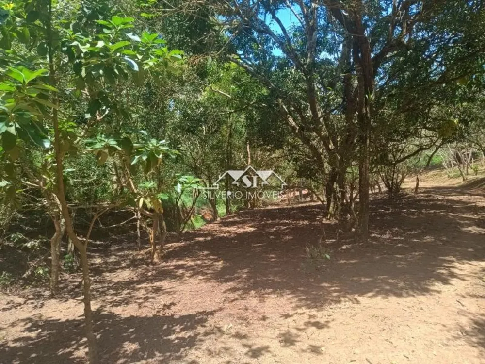 Fazenda, 21 hectares - Foto 43