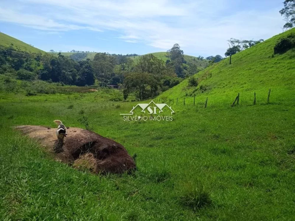 Fazenda, 21 hectares - Foto 10