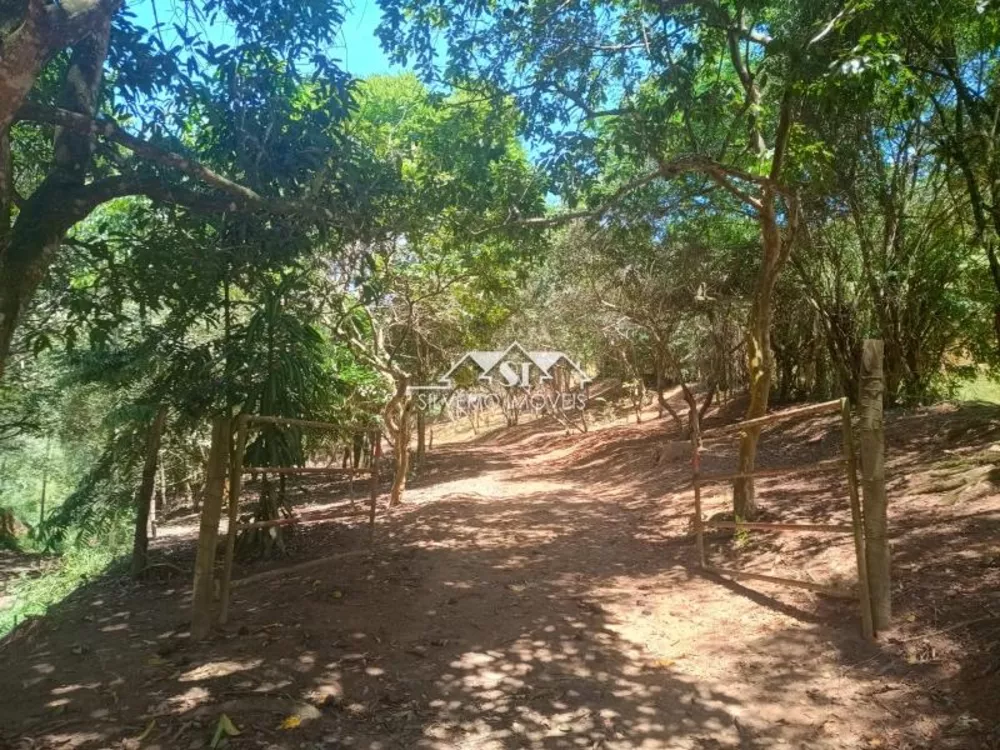 Fazenda, 21 hectares - Foto 32