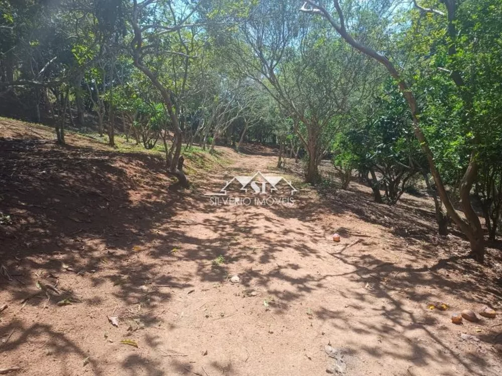 Fazenda, 21 hectares - Foto 18