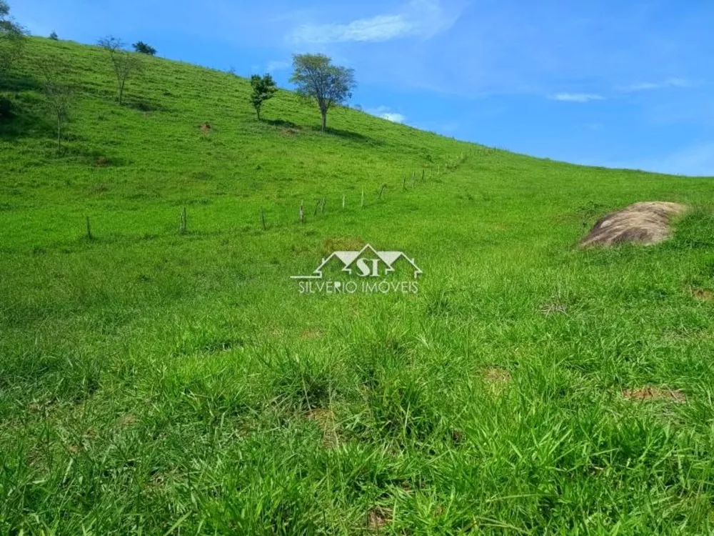 Fazenda, 21 hectares - Foto 2