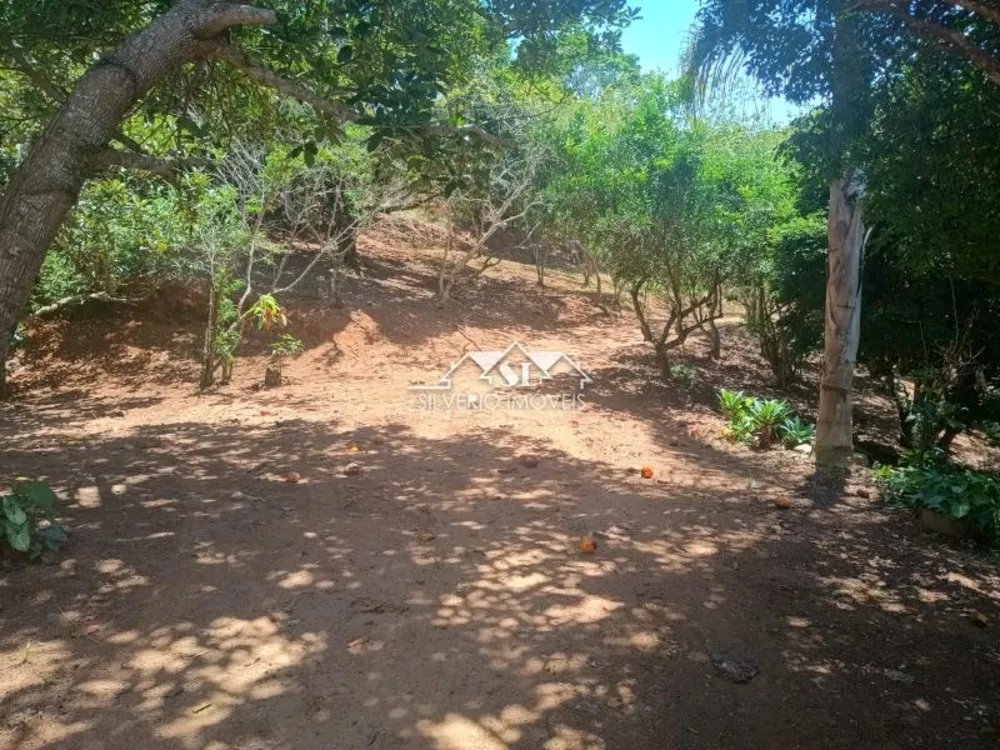 Fazenda, 21 hectares - Foto 32