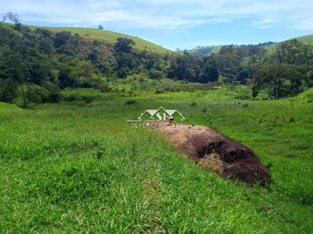 Fazenda, 21 hectares - Foto 3