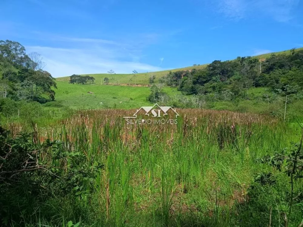 Fazenda, 21 hectares - Foto 16