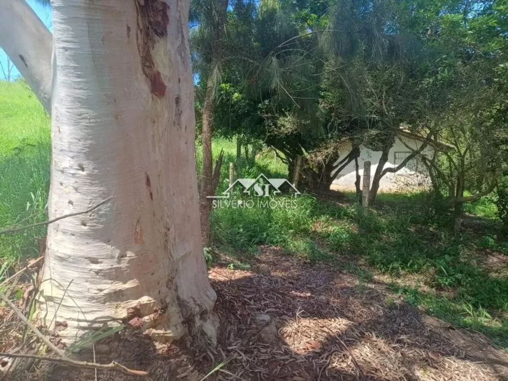 Fazenda, 21 hectares - Foto 12