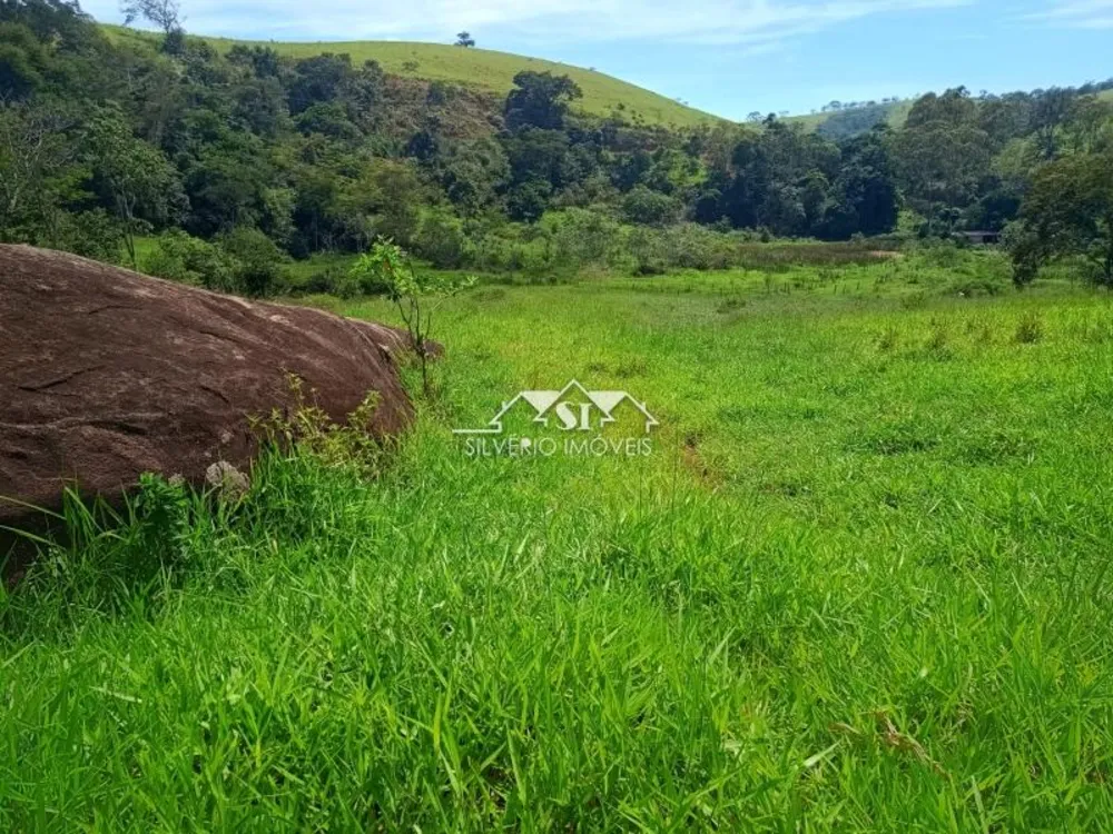 Fazenda, 21 hectares - Foto 39
