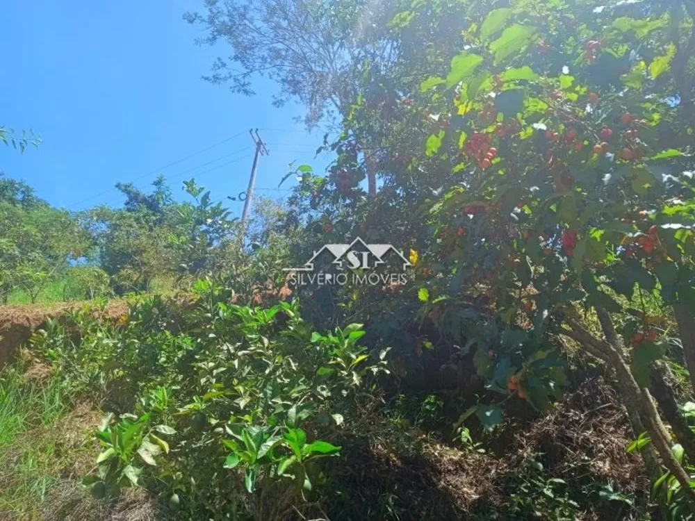 Fazenda, 21 hectares - Foto 36