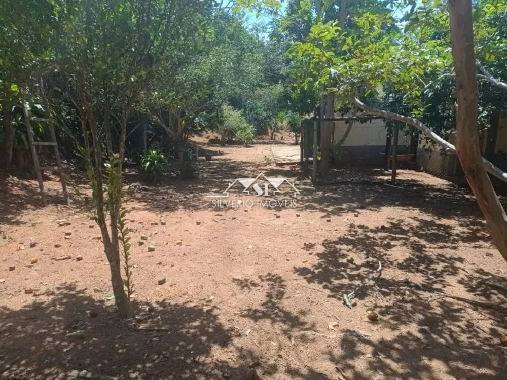 Fazenda, 21 hectares - Foto 15