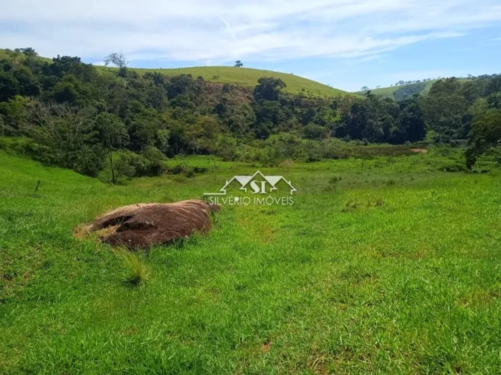 Fazenda, 21 hectares - Foto 11