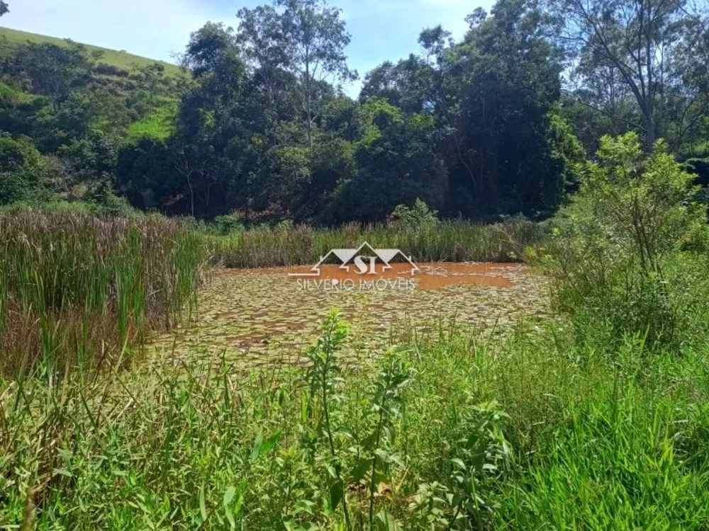 Fazenda, 21 hectares - Foto 4
