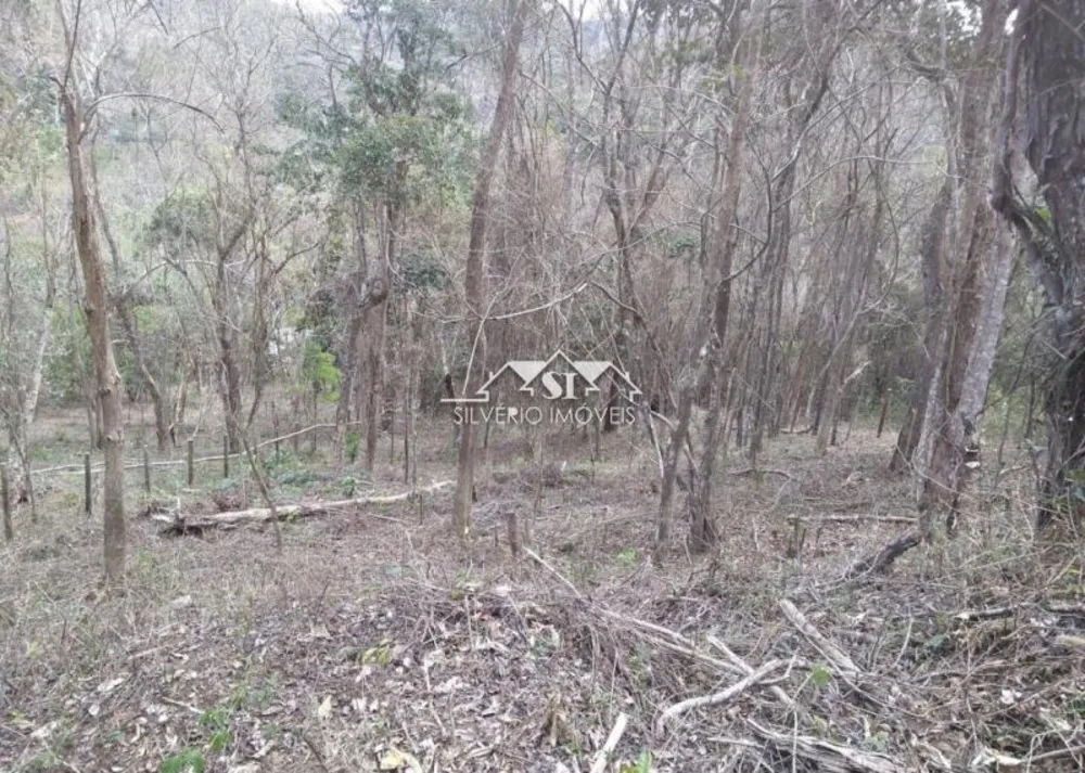 Terreno, 2000 m² - Foto 4