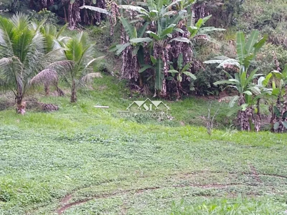 Chácara, 2 quartos, 3 hectares - Foto 11