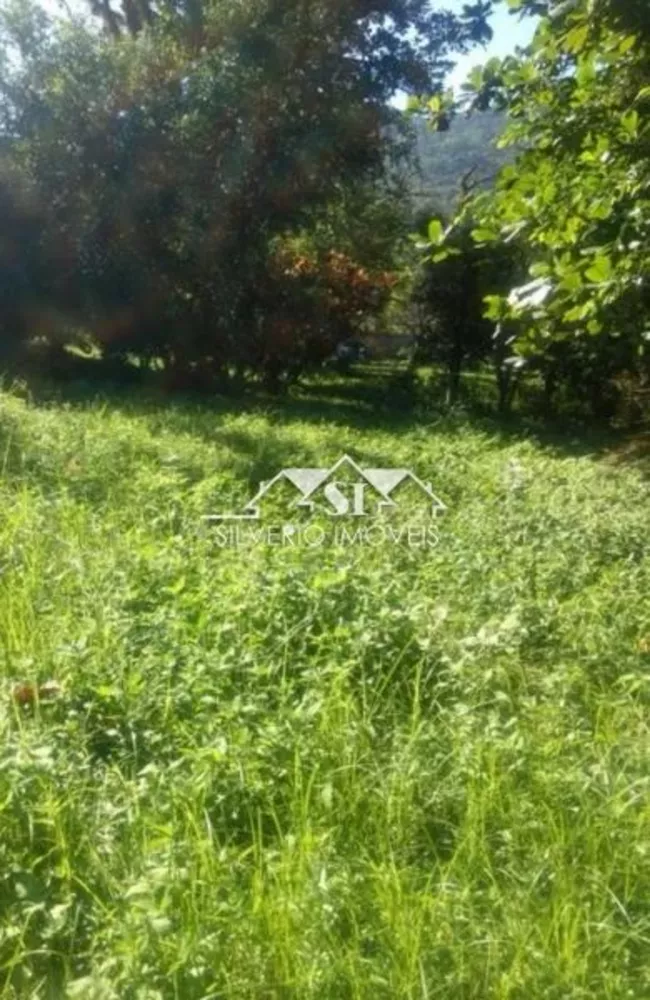 Terreno, 3 hectares - Foto 4
