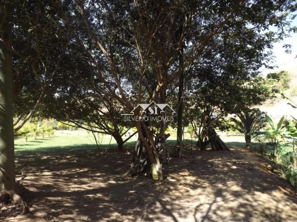 Sítio, 4 quartos, 3 hectares - Foto 38