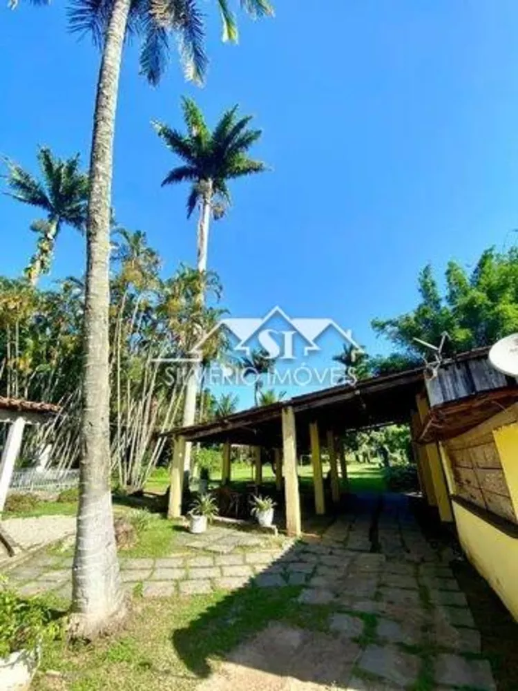 Sítio, 2 quartos, 4500 m² - Foto 3