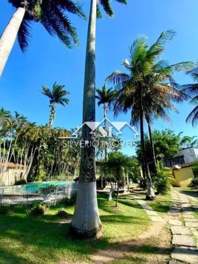 Sítio, 2 quartos, 4500 m² - Foto 2