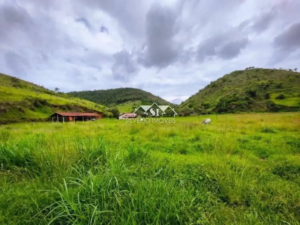 Fazenda, 55 hectares - Foto 17