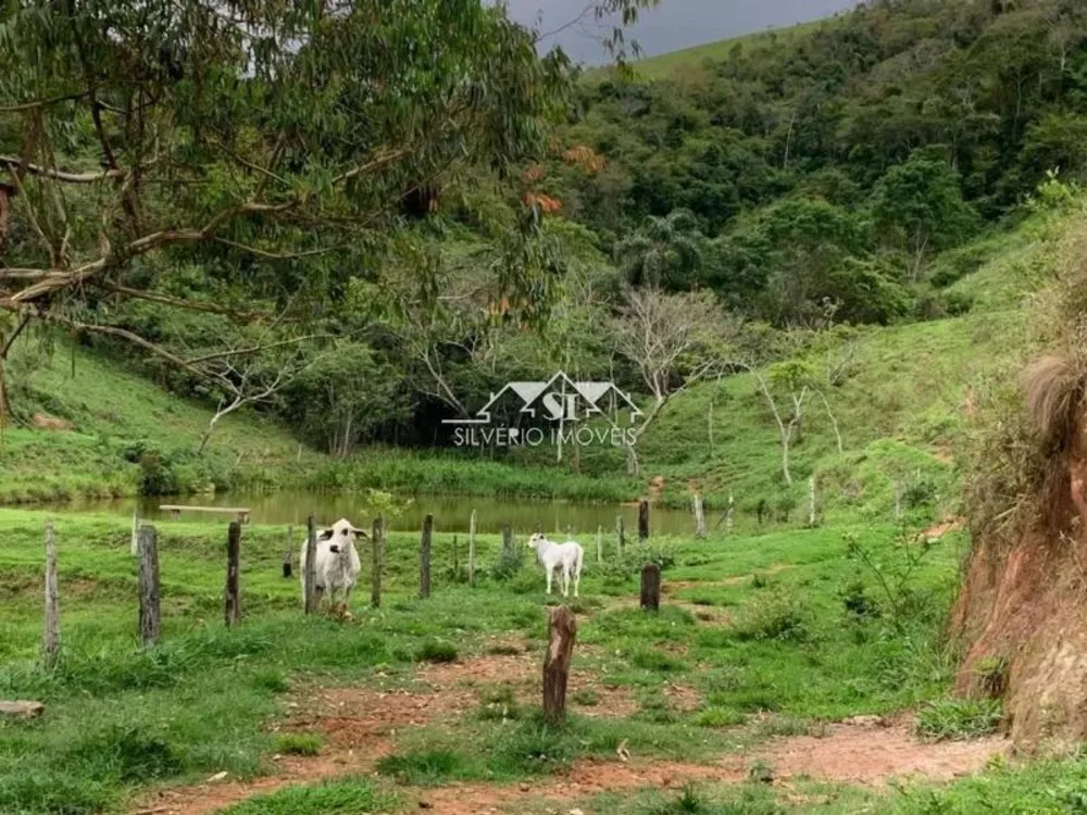 Fazenda, 55 hectares - Foto 16