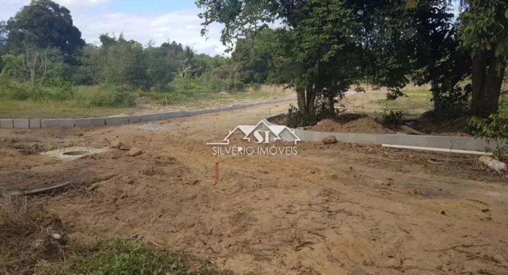 Terreno, 3 hectares - Foto 13
