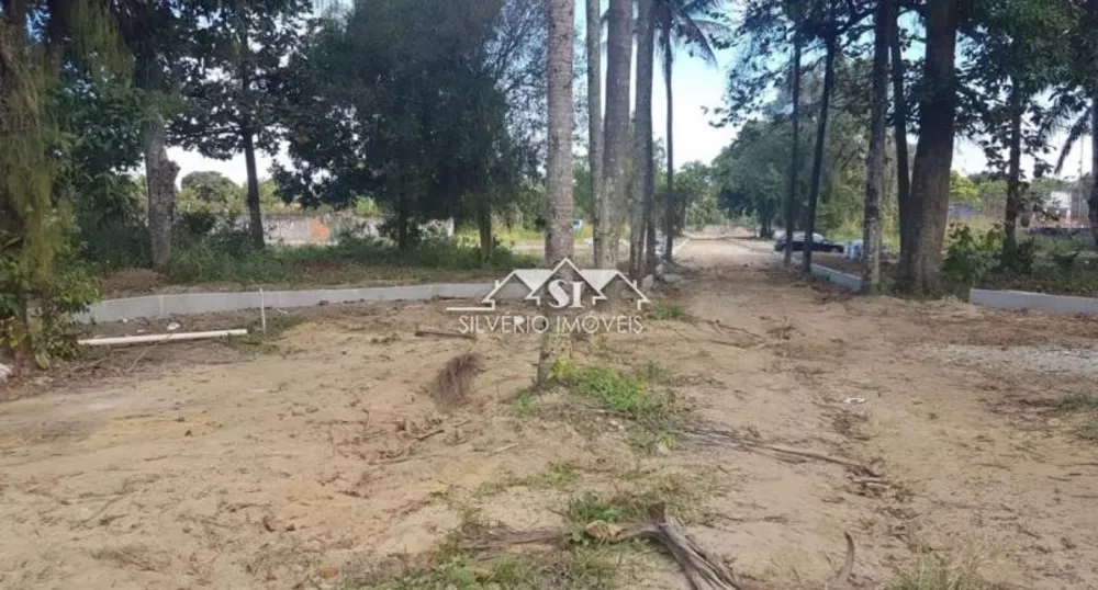 Terreno, 3 hectares - Foto 12