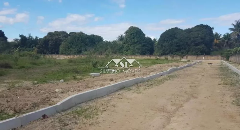 Terreno, 3 hectares - Foto 10