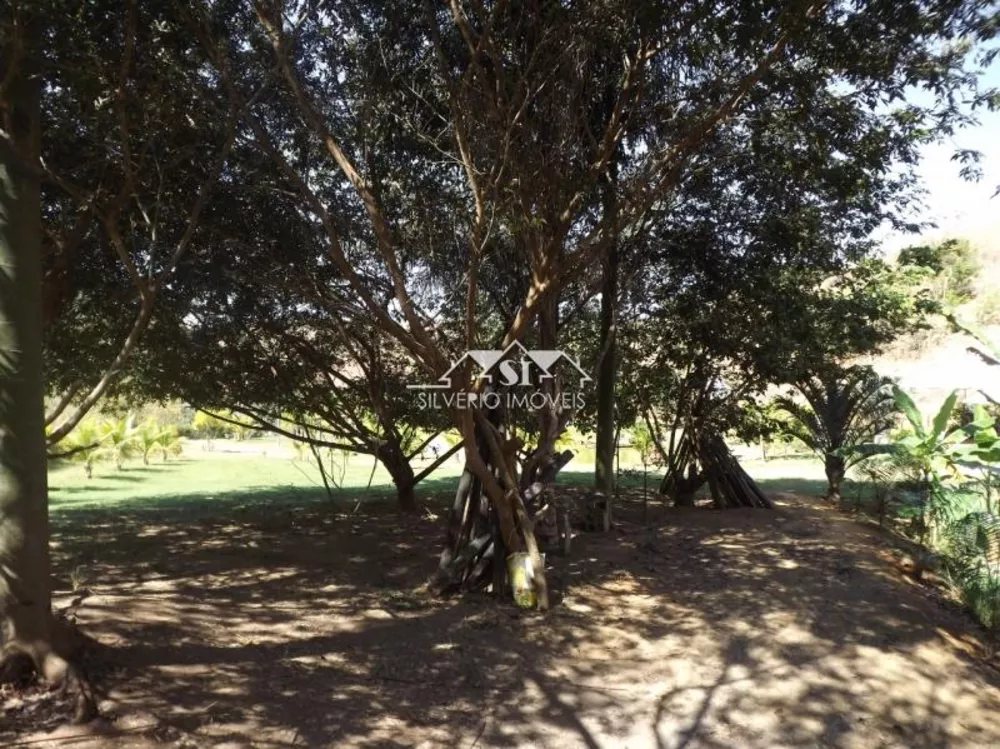 Sítio, 4 quartos, 3 hectares - Foto 61