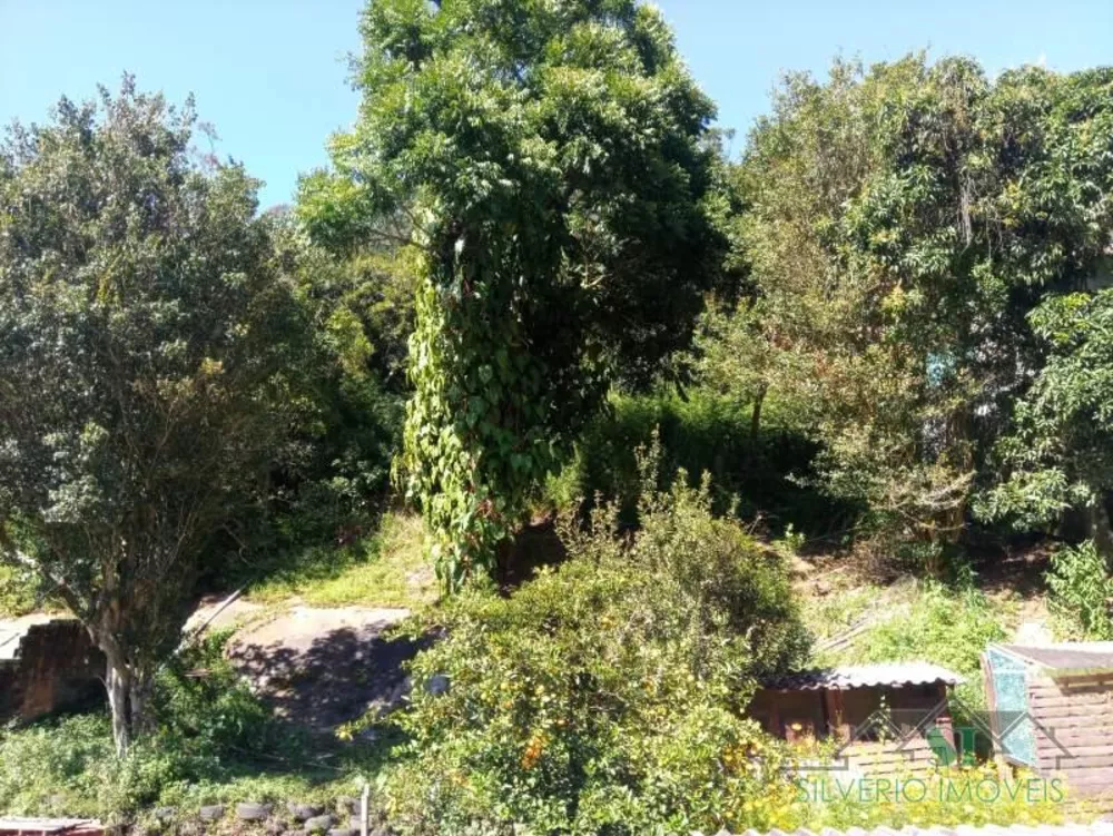 Casa, 3 quartos, 500 m² - Foto 4