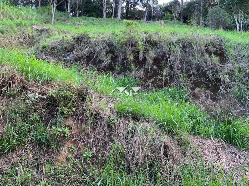 Terreno, 800 m² - Foto 1