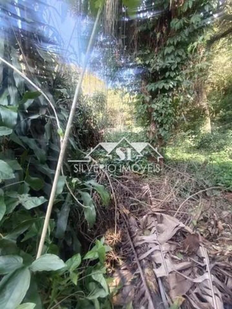 Terreno, 2 hectares - Foto 7