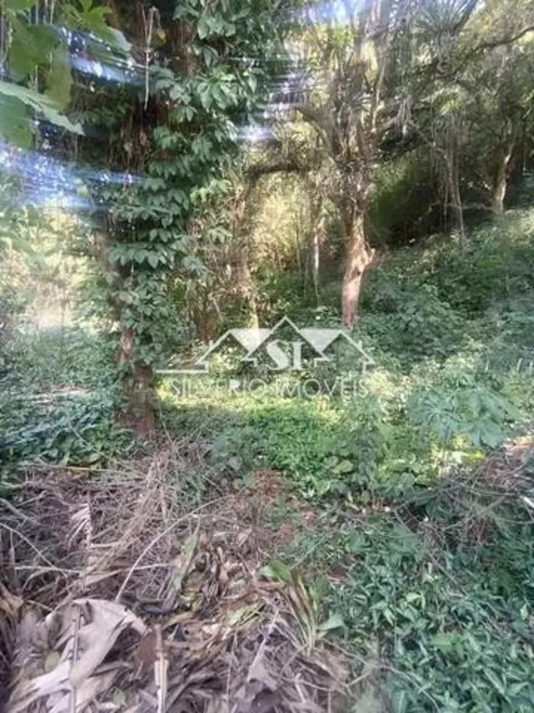 Terreno, 2 hectares - Foto 6