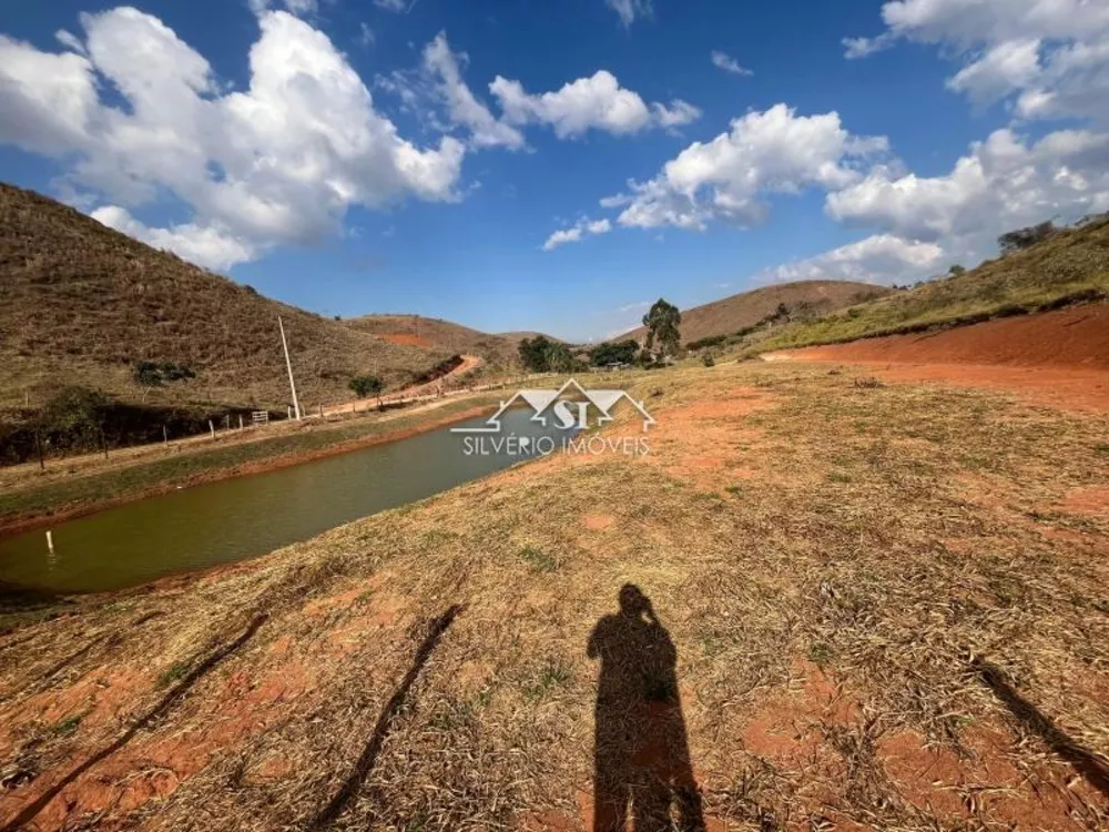 Terreno, 2 hectares - Foto 6
