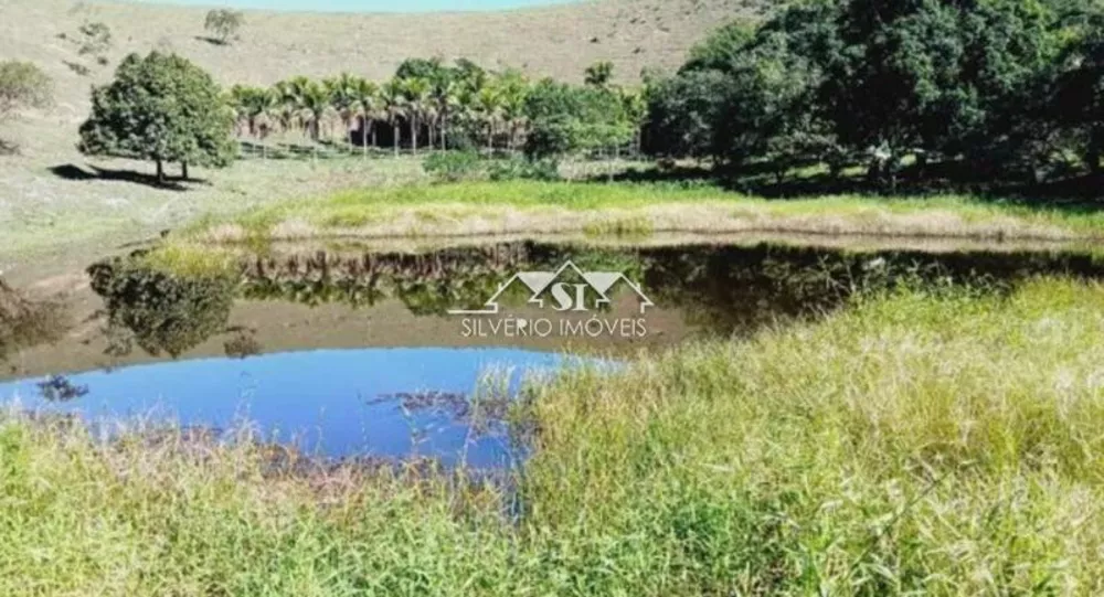Fazenda, 983 hectares - Foto 8