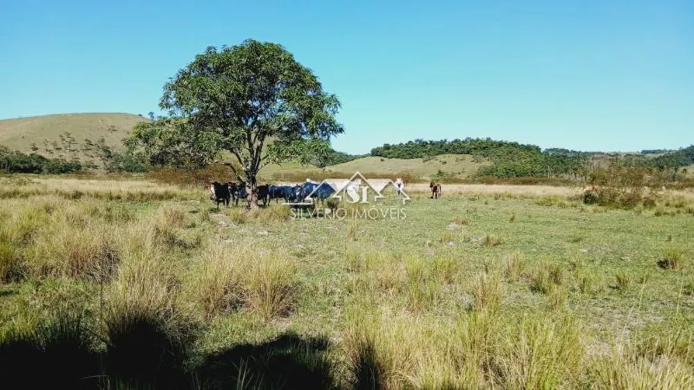 Fazenda, 983 hectares - Foto 5
