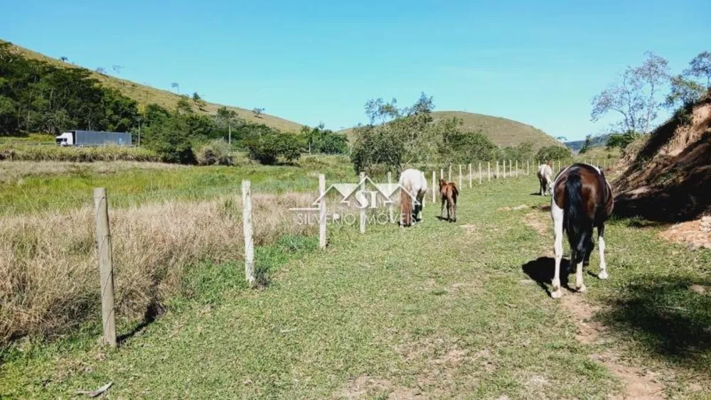 Fazenda, 983 hectares - Foto 4