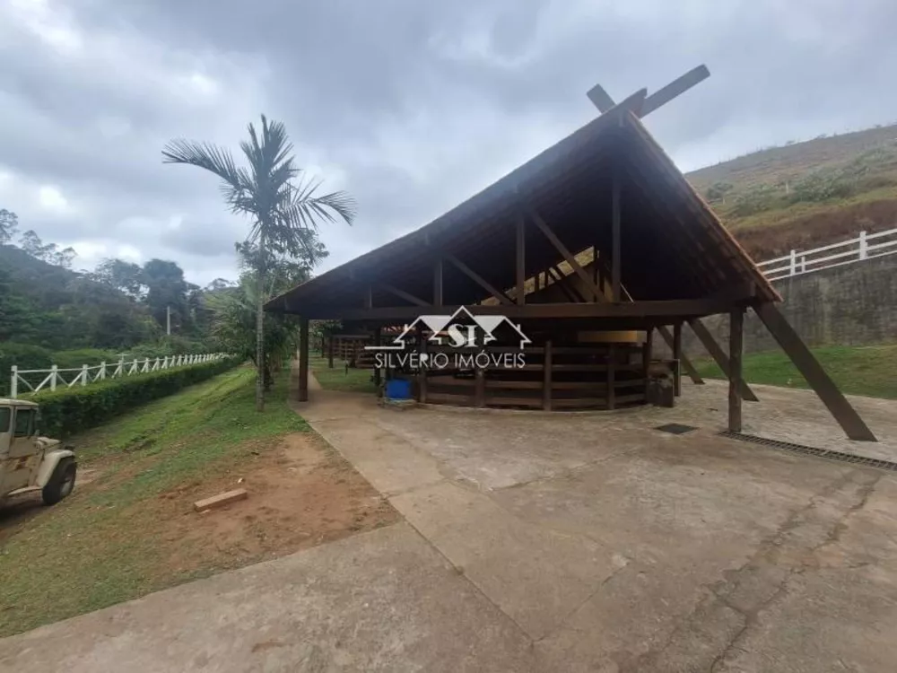 Fazenda, 52 hectares - Foto 30