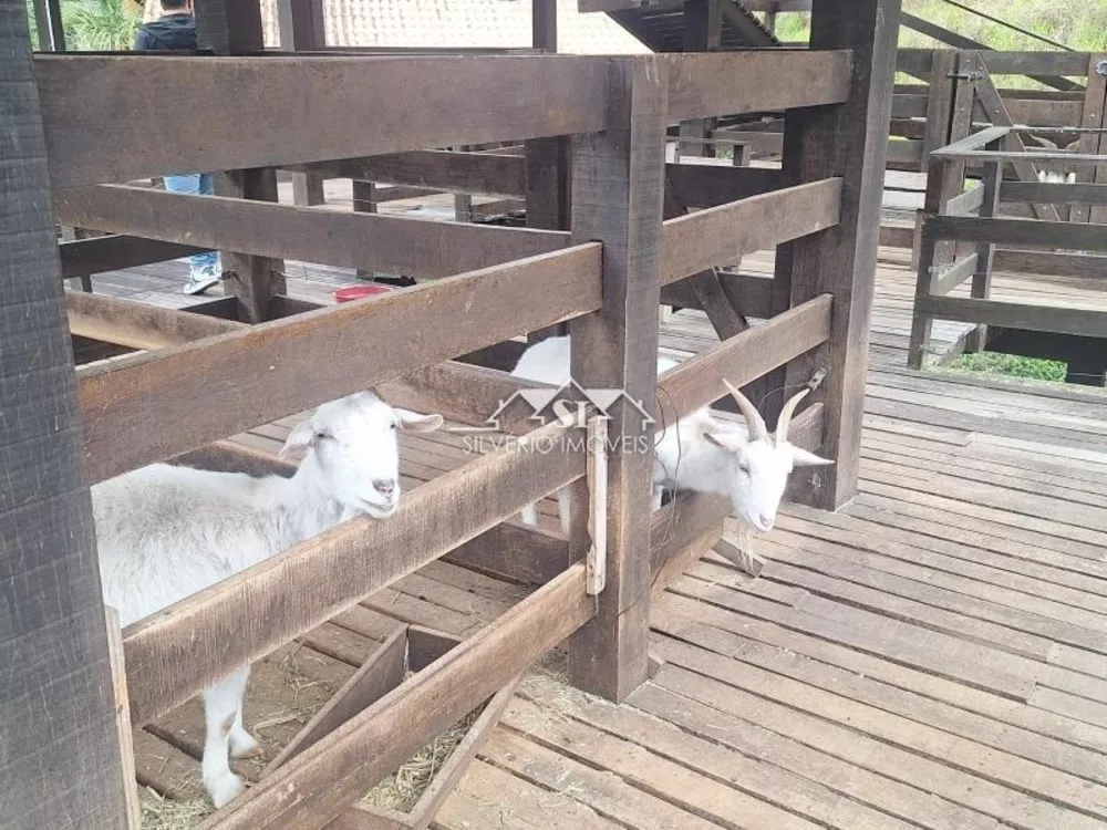 Fazenda, 52 hectares - Foto 23