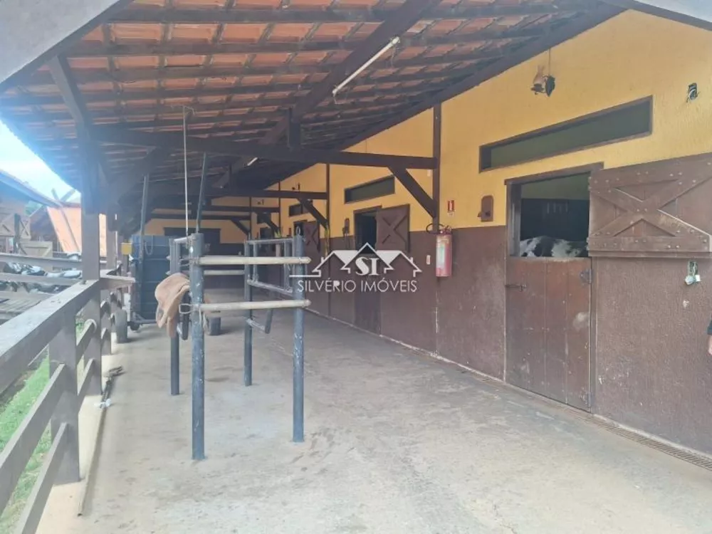 Fazenda, 52 hectares - Foto 29