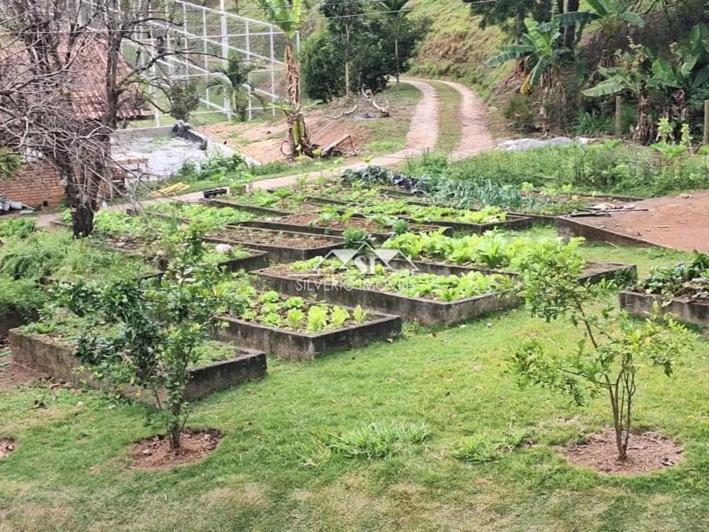 Fazenda, 52 hectares - Foto 28