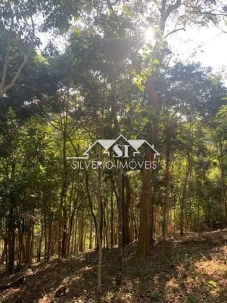 Terreno, 2000 m² - Foto 5