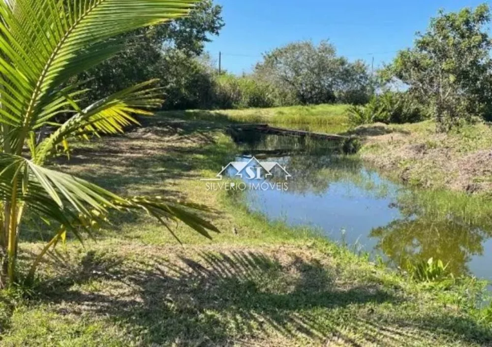 Sítio, 5 quartos, 4 hectares - Foto 3