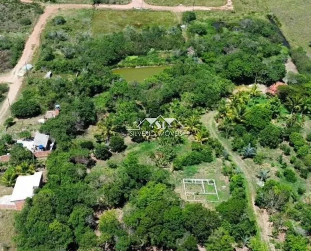 Sítio, 5 quartos, 4 hectares - Foto 11