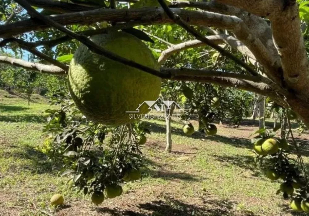 Sítio, 5 quartos, 4 hectares - Foto 13