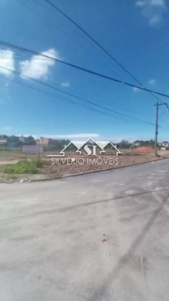 Terreno, 3 hectares - Foto 4