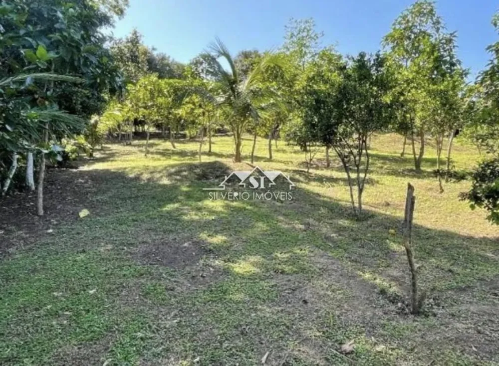 Sítio, 5 quartos, 4 hectares - Foto 4